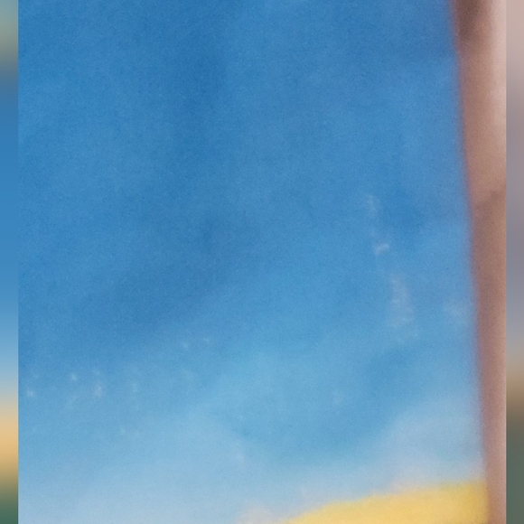 One of a kind handpainted cowboy on skirt - Picture 5 of 9